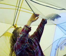 中環(huán)互聯(lián)網(wǎng) 常州網(wǎng)絡(luò)公司的全網(wǎng)營(yíng)銷解決方案