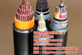 低壓電力電纜 陽泉電纜 神龍電纜